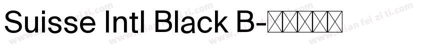 Suisse Intl Black B字体转换